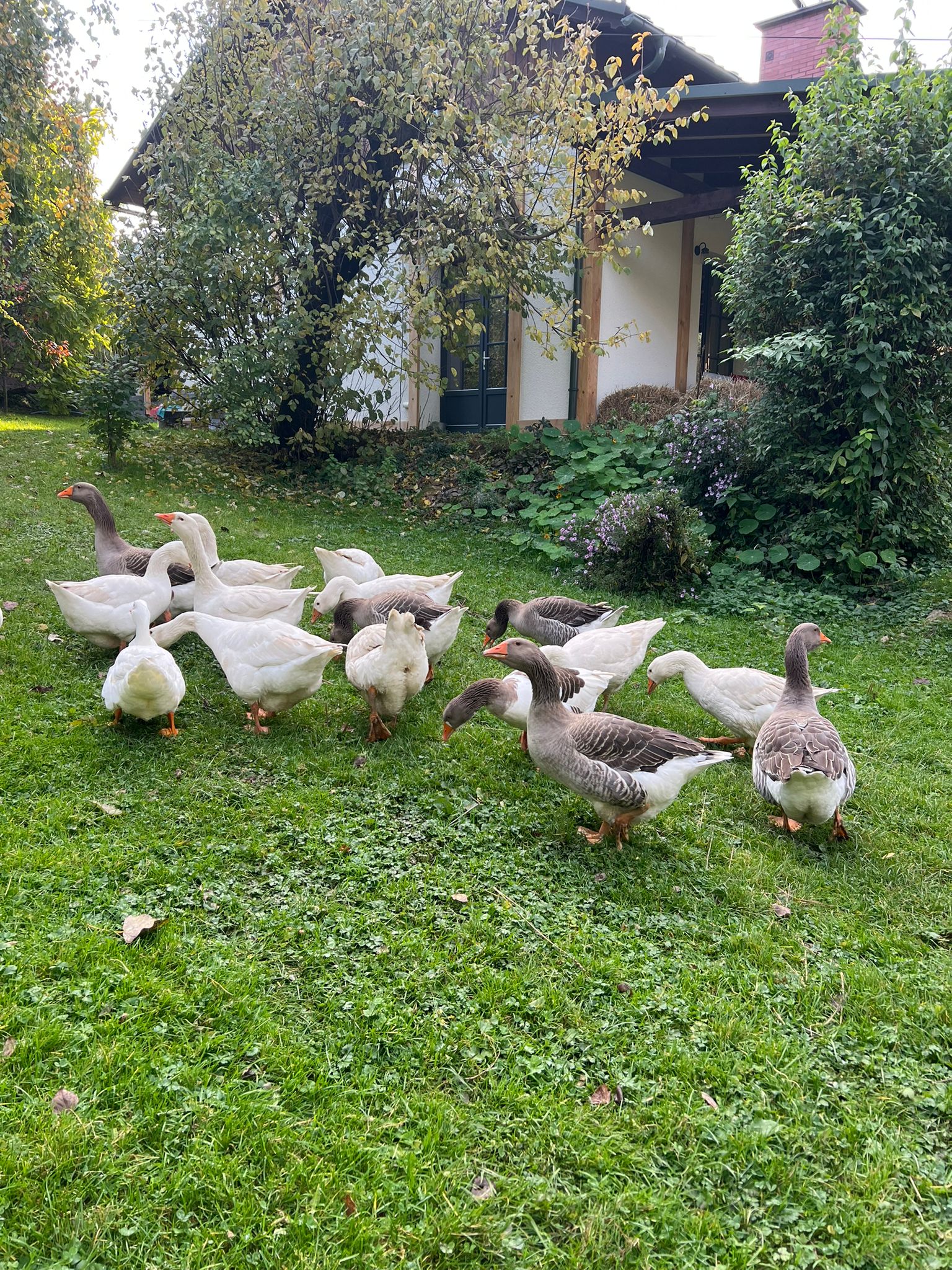 Chata za Wsią Agroturystyka Wyskitna